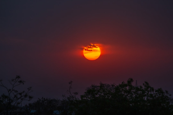 Golden Sun Golden Sun