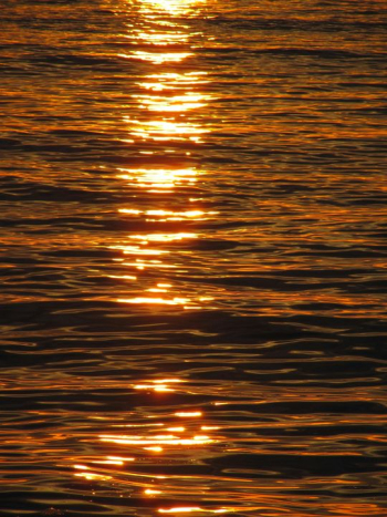 Golden Sunset Reflection on Water Golden Sunset Reflection on Water