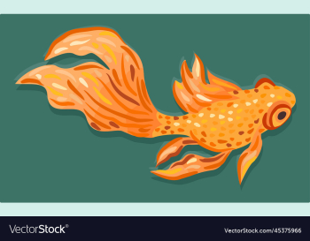 goldfish