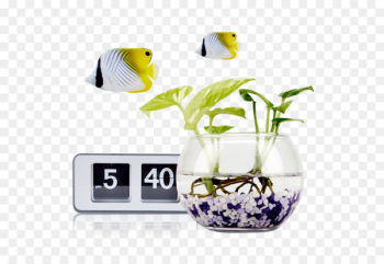 Goldfish Aquarium - goldfish Goldfish Aquarium - goldfish