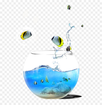 Goldfish Aquarium Water - Features aquarium fish free pictures 