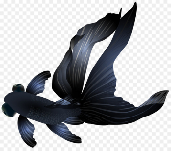 Goldfish - Cartoon aquarium fish 