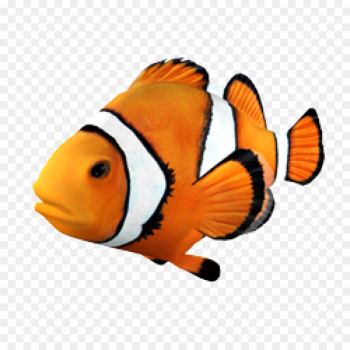 Goldfish Clownfish Angelfish Tropical fish - fish Goldfish Clownfish Angelfish Tropical fish - fish