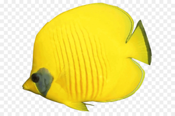 Goldfish Portable Network Graphics Clip art Freshwater angelfish Emperor angelfish - fish 