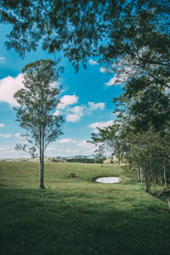 Golf Course Under Clear Blue Sky Golf Course Under Clear Blue Sky