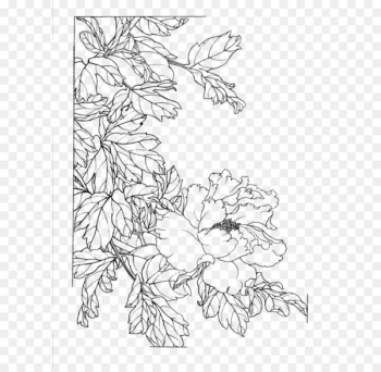 Gongbi Chinese painting Flower Sketch - Peony flower painted line drawing 