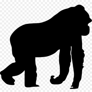 Gorilla Killing of Harambe Car Animal Cat - Gorilla Killing of Harambe Car Animal Cat -