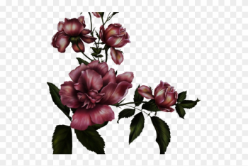 Gothc Clipart Transparent - Transparent Background Gothic Roses Gothc Clipart Transparent - Transparent Background Gothic Roses