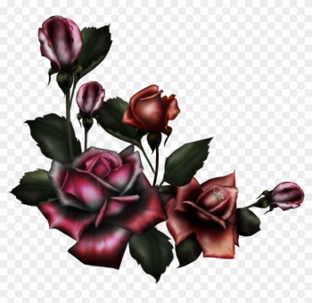 Gothic Rose Png Pic - Gothic Rose Png Gothic Rose Png Pic - Gothic Rose Png