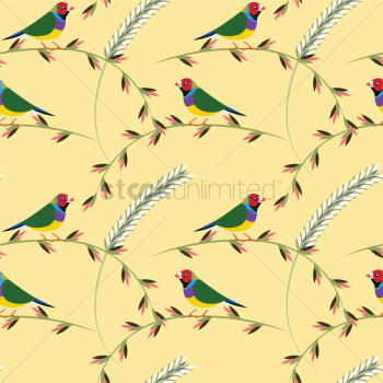 Gouldian finch on branches Gouldian finch on branches