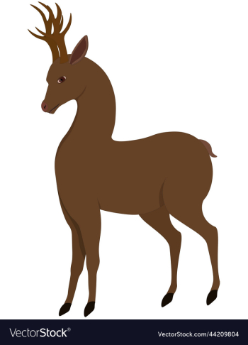 graceful brown deer graceful brown deer