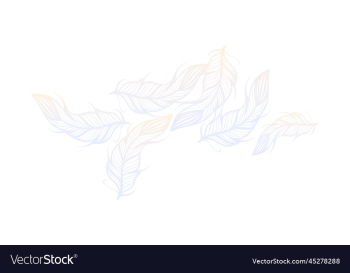 gradient feathers background design wallpaper gradient feathers background design wallpaper