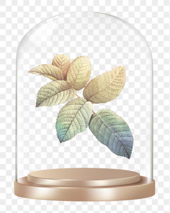 Gradient leaf branch png glass | Free PNG - rawpixel Gradient leaf branch png glass | Free PNG - rawpixel