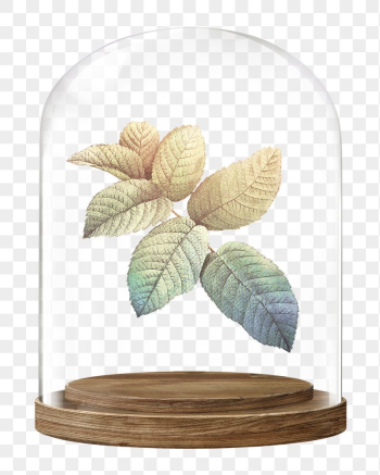 Gradient leaf branch png glass | Free PNG - rawpixel Gradient leaf branch png glass | Free PNG - rawpixel