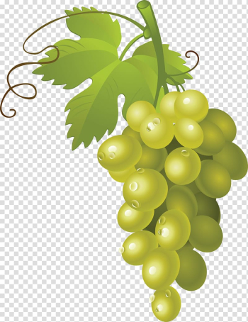 Grape Fruit , Grape transparent background PNG clipart Grape Fruit , Grape transparent background PNG clipart