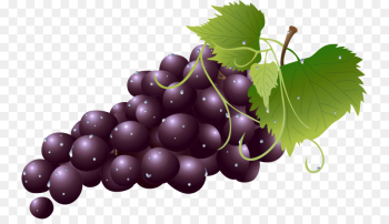 grape grape leaves fruit seedless fruit grapevine family grape grape leaves fruit seedless fruit grapevine family