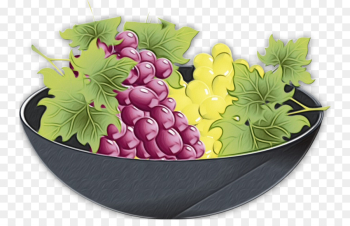 grape grapevine family grape leaves fruit plant grape grapevine family grape leaves fruit plant