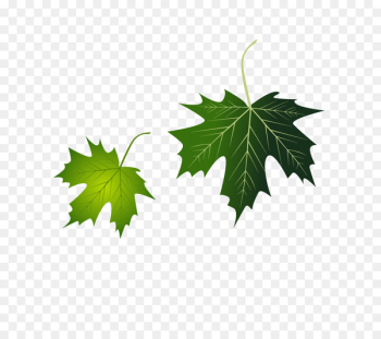 Grape leaves Leaf - Grape leaf vector Grape leaves Leaf - Grape leaf vector