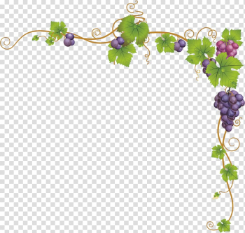 Grape vine and bunch of purple grape illustration, Church service Child Dendrite, grape,Dendrite,Vines,frame,Frame,lace transparent background PNG clipart