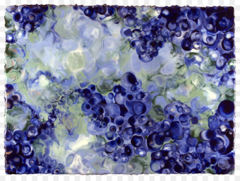 Grape Watercolor painting Bluebonnet - grape 