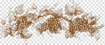 Grapes frame, Grape Drawing Graphic design Illustration, grapes transparent background PNG clipart