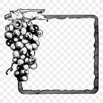 Grapes frame png sticker illustration, | Free PNG - rawpixel