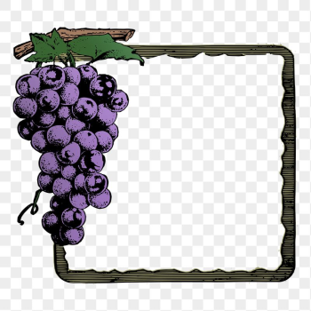 Grapes frame png sticker illustration, | Free PNG - rawpixel