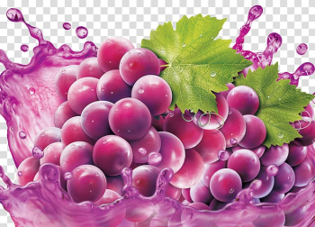 Grapes illustration, Grape juice Grape juice Fruit, Purple grape juice transparent background PNG clipart