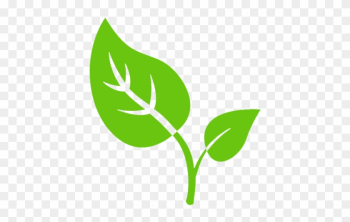 Graphics For Tobacco Leaf Graphics - Tobacco Leaf Icon Png