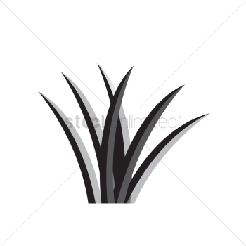 Grass Grass
