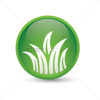 Grass Grass