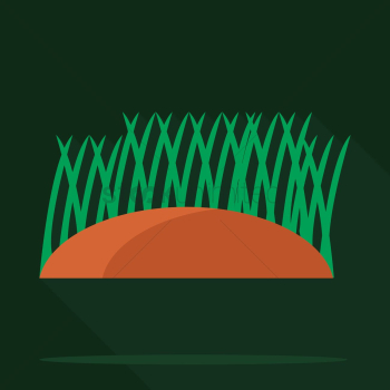 Grass Grass