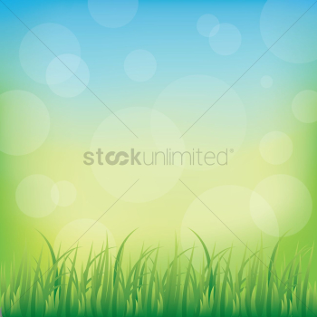 Grass background Grass background