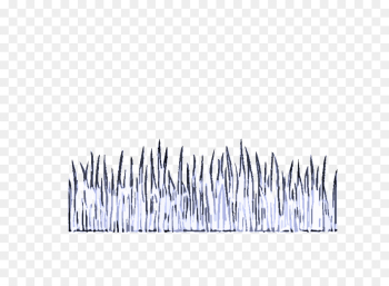 grass family grass grass family grass
