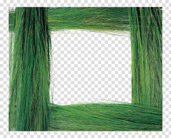 Grass frame Plant, Green Frame transparent background PNG clipart Grass frame Plant, Green Frame transparent background PNG clipart