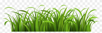 Grass - Green Grass Vector Png Grass - Green Grass Vector Png