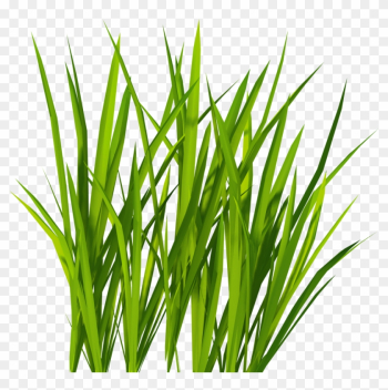 Grass Png Image, Green Grass Png Picture - Grass Png Grass Png Image, Green Grass Png Picture - Grass Png