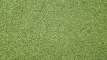 Grass texture background Grass texture background