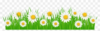 Grass With Flowers Png