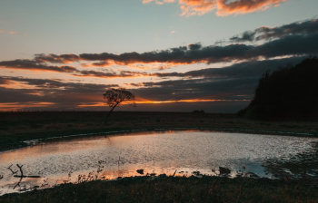 Grassland Under Cloudy Sky During Golden Hour Grassland Under Cloudy Sky During Golden Hour