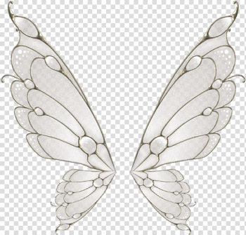 Gray and white butterfly wings illustration, Butterfly Wing Flight Moth, Painted white butterfly wings transparent background PNG clipart