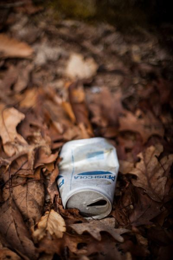 gray beverage can on dried leaves gray beverage can on dried leaves