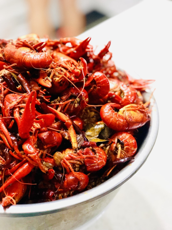 Gray Bowl Fill of Shrimps Gray Bowl Fill of Shrimps