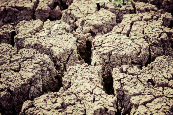 Gray Dry Soil in Macro Shot Photography