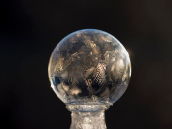 gray feather globe