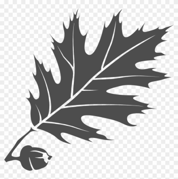 Gray Leaf - Thomas College Gray Leaf - Thomas College