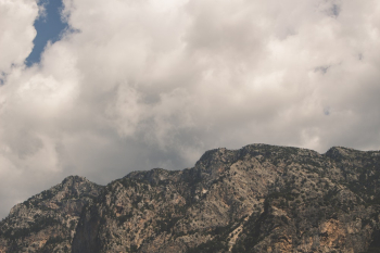 Gray Mountain