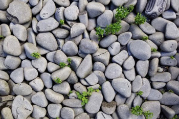 gray rocks gray rocks