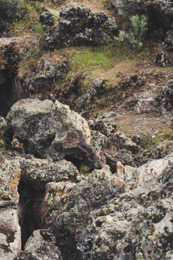 Gray Rocks Gray Rocks