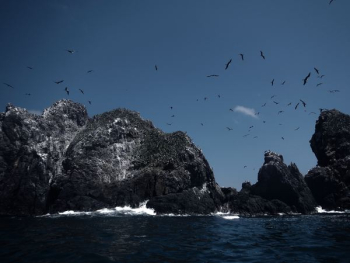 gray rocks with ocean waves during daytime gray rocks with ocean waves during daytime
